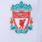 06-07 Liverpool Retro Long Sleeve Jersey Third Away