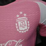 Argentina 2025-26 Pre match Training Soccer Jersey - Player Edition