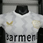 24-25 Bayer 04 Leverkusen Away Soccer Jersey Player Version