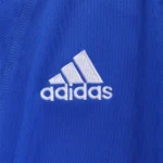 Japan 2000 Retro Jersey Home