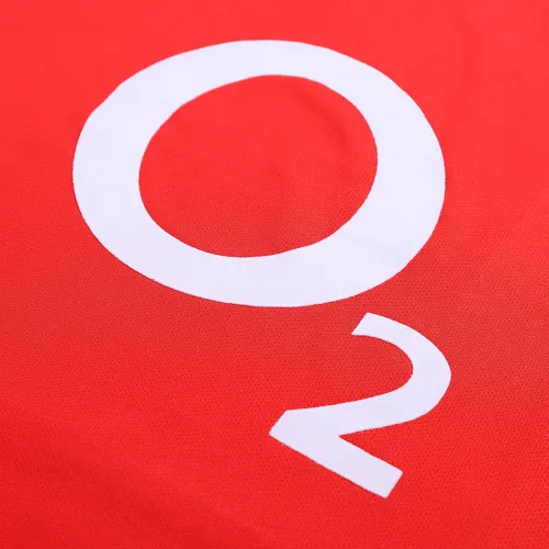 02-04 Arsenal LJUNGBERG #8 Retro Jersey Home
